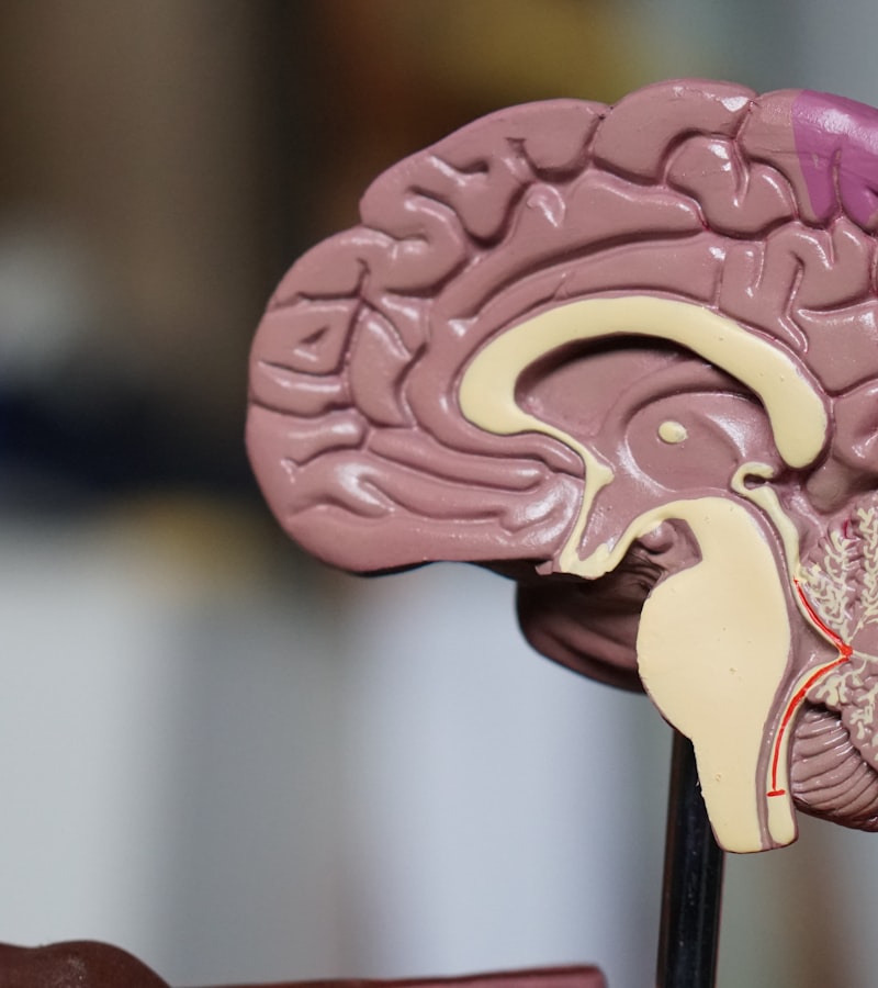 Traumatic Brain Injuries client consultation with attorney